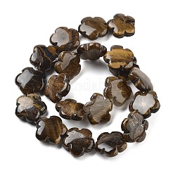 Fili di perline di occhio di tigre naturale&nbsp;G-F769-H01-02
