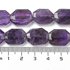 Natürlichen Amethyst Perlen Stränge&nbsp;G-P544-B06-01