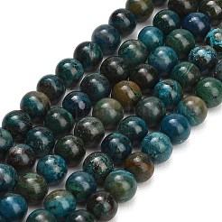 Perline Chrysocolla naturale fili&nbsp;G-G475-A03-6mm