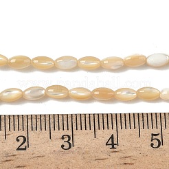 Natürliche Trochusmuschelperlenstränge&nbsp;SHEL-K006-53