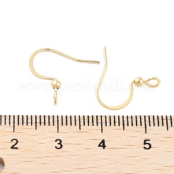 Ohrringhaken aus chirurgischem Edelstahl 316&nbsp;STAS-K274-10G