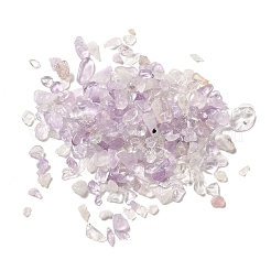 Natürlichen Amethyst Chip-Perlen&nbsp;G-O103-10