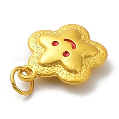 Aluminium Anhänger & Charms&nbsp;PALLOY-Q448-06G
