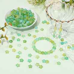 300 perles acryliques givrées&nbsp;OACR-PA0001-71C
