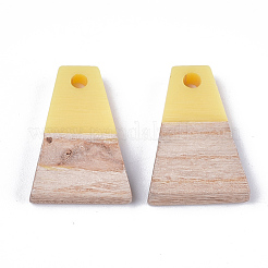 Pendentifs en résine & en bois&nbsp;RESI-S358-52H