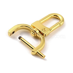 Zinklegierung Schwenkkarabiner Spangen&nbsp;FIND-WH0145-85C-G