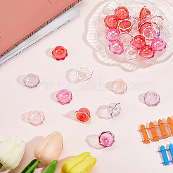 60 pièce de 4 couleurs de capuchons de perles en acrylique avec placage UV&nbsp;PACR-PA0001-12A