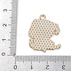 Pendenti smaltati in lega di halloween&nbsp;FIND-I052-01KCG-01