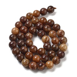 Granos de piedras preciosas naturales hebras&nbsp;G-H045-A01-8MM