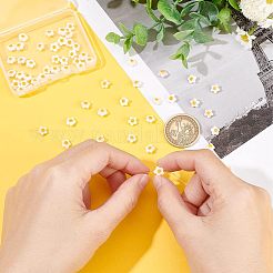 Natürlichen weißen Muschelperlen Stränge&nbsp;SHEL-OC0001-02