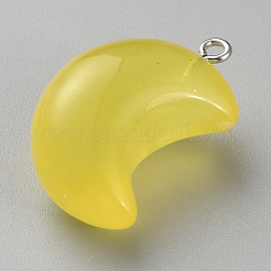 Pendentifs en résine transparents et lumineux qui brillent dans le noir&nbsp;RESI-WH0038-27B-03