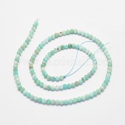 Amazonite naturale fili di perle&nbsp;G-P279-42-3mm