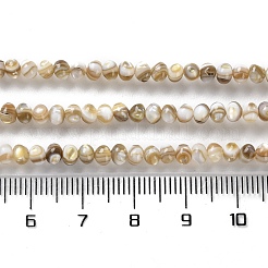 Natürlichen Süßwasser-Muschelperlen Stränge&nbsp;SSHEL-B002-18