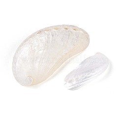 Abalone-Muscheln-Ornamente&nbsp;SHEL-T020-54