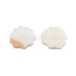 Cuentas de concha naturales de agua dulce&nbsp;X-SHEL-T007-02