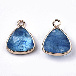 Glas Anhänger / charms&nbsp;GLAA-N040-004A