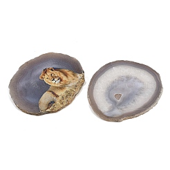 Ornamento in pietra a fetta di agata naturale stampata&nbsp;DJEW-M011-04E