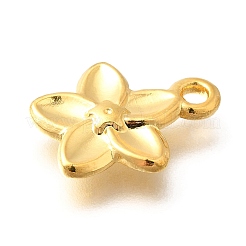 Anhänger aus Edelstahl 304&nbsp;STAS-P381-10G