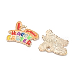 Pendentifs en alliage d'émail de pâques&nbsp;LS-ENAM-I055-01KCG-05
