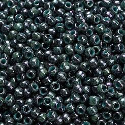 Perles rondes Toho 6/0&nbsp;SEED-TR06-1207