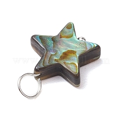 Natürliche Abalone Muschel / Paua Muschel Anhänger&nbsp;PALLOY-JF02701-01