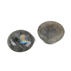 Natur Labradorit Cabochons&nbsp;G-H1596-FR-25mm-05