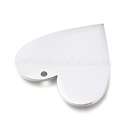 Colgantes de acero inoxidable 304 resistentes al deslustre&nbsp;STAS-L238-098B-P