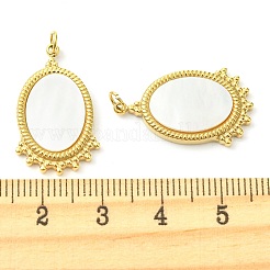 Ionenplattierung (IP) 304 Edelstahl Pavé Muschel Anhänger&nbsp;FIND-Z028-17G