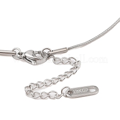 Colliers à pendentif conique en chaîne serpent ronde en acier inoxydable 304 anti-ternissement&nbsp;NJEW-N055-12P