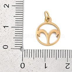 Ionenplattierung (IP) 304 Edelstahl-Anhänger&nbsp;STAS-R135-05G-06