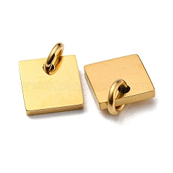 Dijes de etiqueta en blanco con estampado de acero inoxidable 304&nbsp;X-STAS-L022-181G