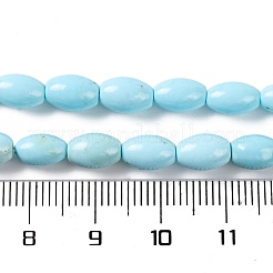 Fili di perline howlite naturale&nbsp;G-H025-02A
