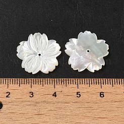 Natürlichen weißen Muschelperlen&nbsp;SHEL-M021-08A