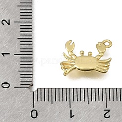 Encantos de latón&nbsp;KK-K427-49G