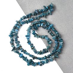 Natürliche Apatit Perlen Stränge&nbsp;X-G-F666-01B-02-01