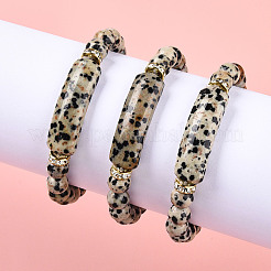 Perles de jaspe zèbre naturelles&nbsp;BJEW-T022-04D