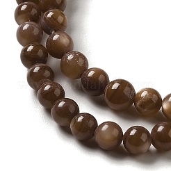 Eau douce naturelle de coquillage perles brins&nbsp;SHEL-H003-03D