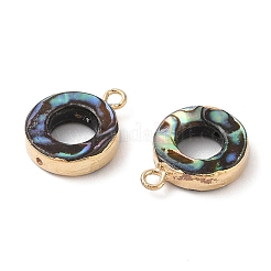 Natur Paua Muschel Anhänger&nbsp;SHEL-P017-18G