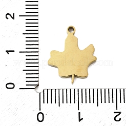 Pendentifs en acier inoxydable 304 émaillés&nbsp;STAS-I336-09G