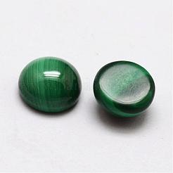 Dôme cabochons de malachite naturel&nbsp;G-O146-03B