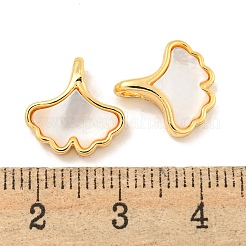 Breloques en coquillage naturel et feuille de gingko en laiton&nbsp;KK-P275-06G