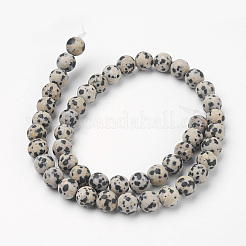 Natur Dalmatiner Jaspis Perle Stränge&nbsp;G-G735-68F-8mm