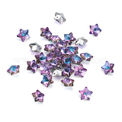 K9 Glas Strass Charms&nbsp;X-GLAA-TA001-007