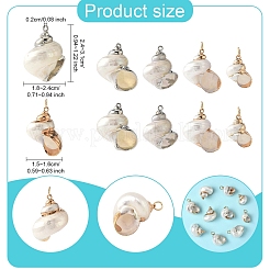 Pendenti a conchiglia a spirale elettroplaccati&nbsp;BSHE-YW0001-07G