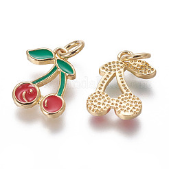 Messing Emaille Anhänger / charms&nbsp;KK-L185-09G