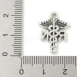 Pendentifs en alliage de style tibétain&nbsp;TIBE-I026-5976AS