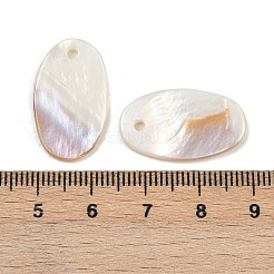 Oval Süßwasser Muschel Anhänger&nbsp;SHEL-M005-33