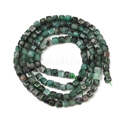 Brins de perles d'émeraude naturelles&nbsp;G-B175-C04-3x3mm