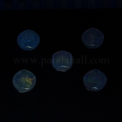 Placage uv perles acryliques transparentes lumineuses&nbsp;OACR-P010-05A