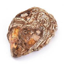 Décorations d'affichage d'agate druzy en agate géode naturelle&nbsp;DJEW-I014-01A